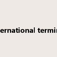 international terminal是什么意思