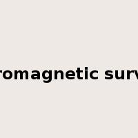 aeromagnetic survey是什么意思