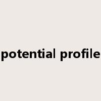 potential profile是什么意思