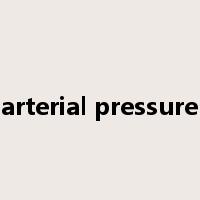 arterial pressure是什么意思
