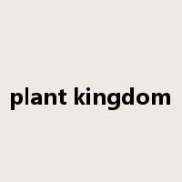plant kingdom是什么意思