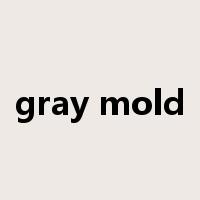 gray mold是什么意思