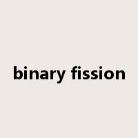 binary fission是什么意思