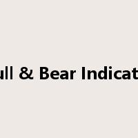 Bull & Bear Indicator是什么意思
