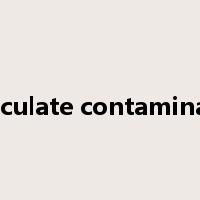particulate contamination是什么意思