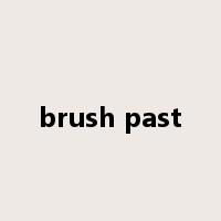 brush past是什么意思