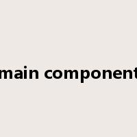 main component是什么意思