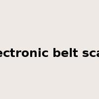 electronic belt scale是什么意思