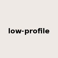 low-profile是什么意思