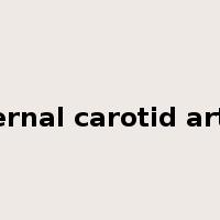 external carotid artery是什么意思