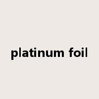 platinum foil是什么意思