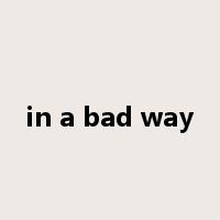 in a bad way是什么意思