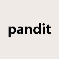 pandit是什么意思