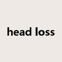 head loss是什么意思