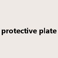 protective plate是什么意思