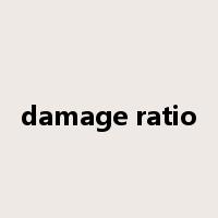 damage ratio是什么意思