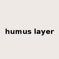 humus layer是什么意思