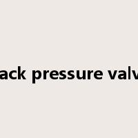 back pressure valve是什么意思