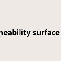 permeability surface area是什么意思