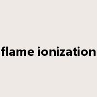 flame ionization是什么意思