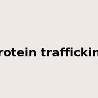 protein trafficking是什么意思