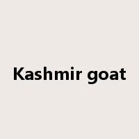 Kashmir goat是什么意思