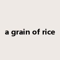 a grain of rice是什么意思