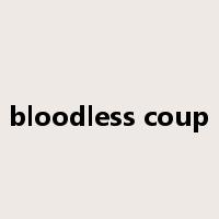 bloodless coup是什么意思