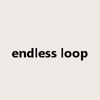endless loop是什么意思