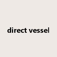 direct vessel是什么意思