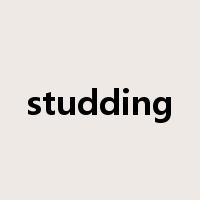 studding是什么意思