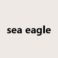sea eagle是什么意思