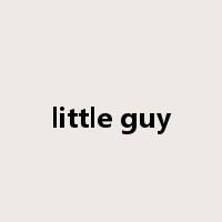 little guy是什么意思