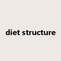 diet structure是什么意思