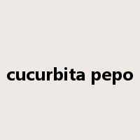 cucurbita pepo是什么意思
