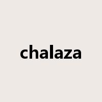 chalaza是什么意思