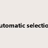 automatic selection是什么意思