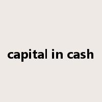 capital in cash是什么意思