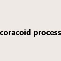 coracoid process是什么意思