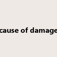 cause of damage是什么意思