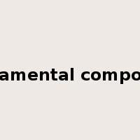 fundamental component是什么意思