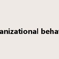 organizational behavior是什么意思