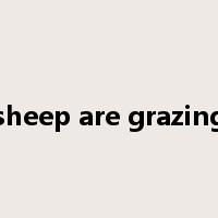 sheep are grazing是什么意思