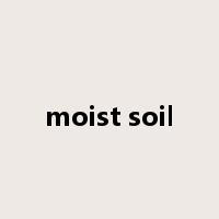 moist soil是什么意思