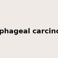 esophageal carcinoma是什么意思