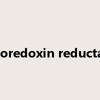 thioredoxin reductase是什么意思