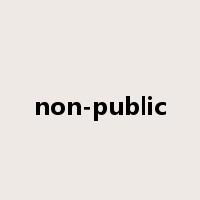 non-public是什么意思
