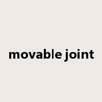 movable joint是什么意思