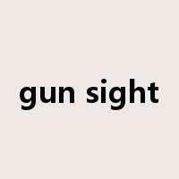 gun sight是什么意思