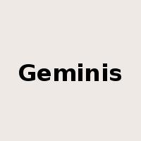 Geminis是什么意思